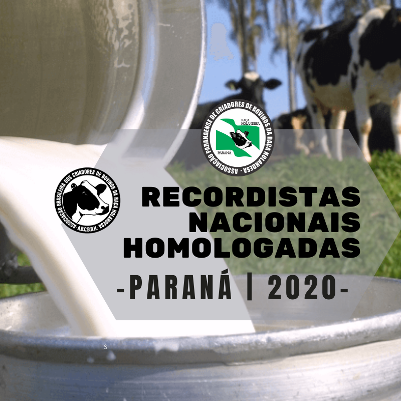 Recordistas Nacionais-RN | 1º Semestre | 2020